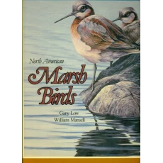 North American Marsh Birds