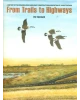From Trails to Highways