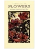 Portraits of Flowers