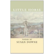Little Horse