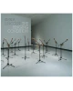 Erika Lincoln: The Singing Condition