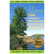 Up North: A Guide to Ontario's Wilderness from Blackflies to the Northern Lights