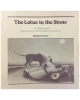 The Lotus in the Stone: An allegory for explorations in dreams & consciousness