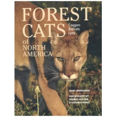 Forest Cats of North America