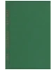 Paradoxes (1650)