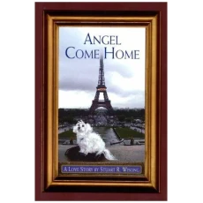 Angel Come Home