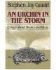 An Urchin in the Storm: Essays About Books and Ideas