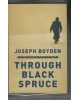 Through Black Spruce