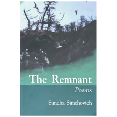 The Remnant