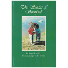 The Swans of Stratford