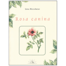 Rosa Canina